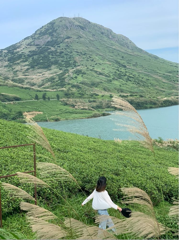 國內有座秘境海島，一到夏天美成呼倫貝爾！萬畝海上大草原，美哭了卻鮮有人知 旅遊 第13張