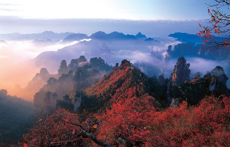 世間僅有的20個絕美之景 驚艷了世界 看過不留遺憾 旅遊 第1張