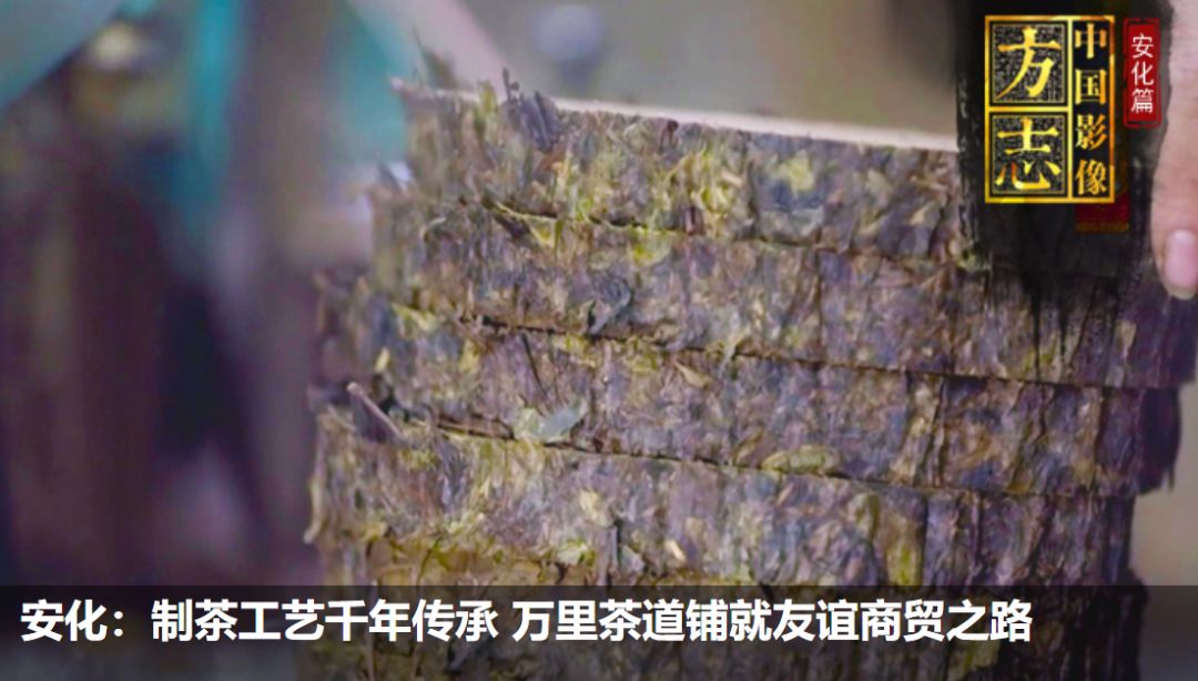 《中国影像方志》安化篇完整版，看看央视镜头中的黑茶之乡