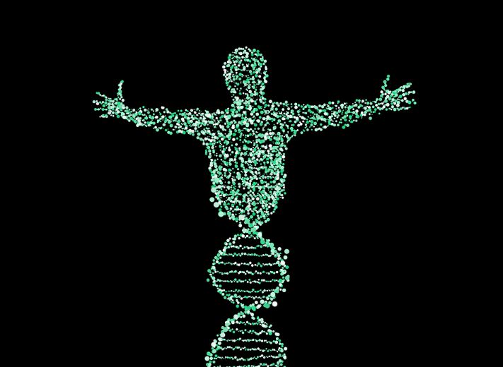 为啥男性的Y染色体都那么小? 为啥男性的Y染色体都那么小?