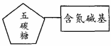 脱氧核糖核酸的作用