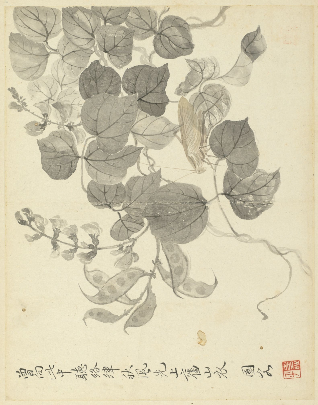 清　惲壽平　秋花圖　二玄社　原寸　鑑定品 清惲壽平秋花圖二玄社原寸鑑定品