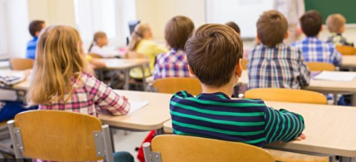 上私校小学纯属浪费钱？澳专家揭秘公立小学教育优势（组图） - 5