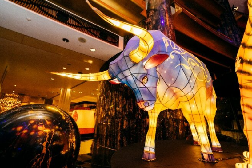 澳各州中国春节活动最强攻略！一起过个年味十足的牛年（组图） - 14