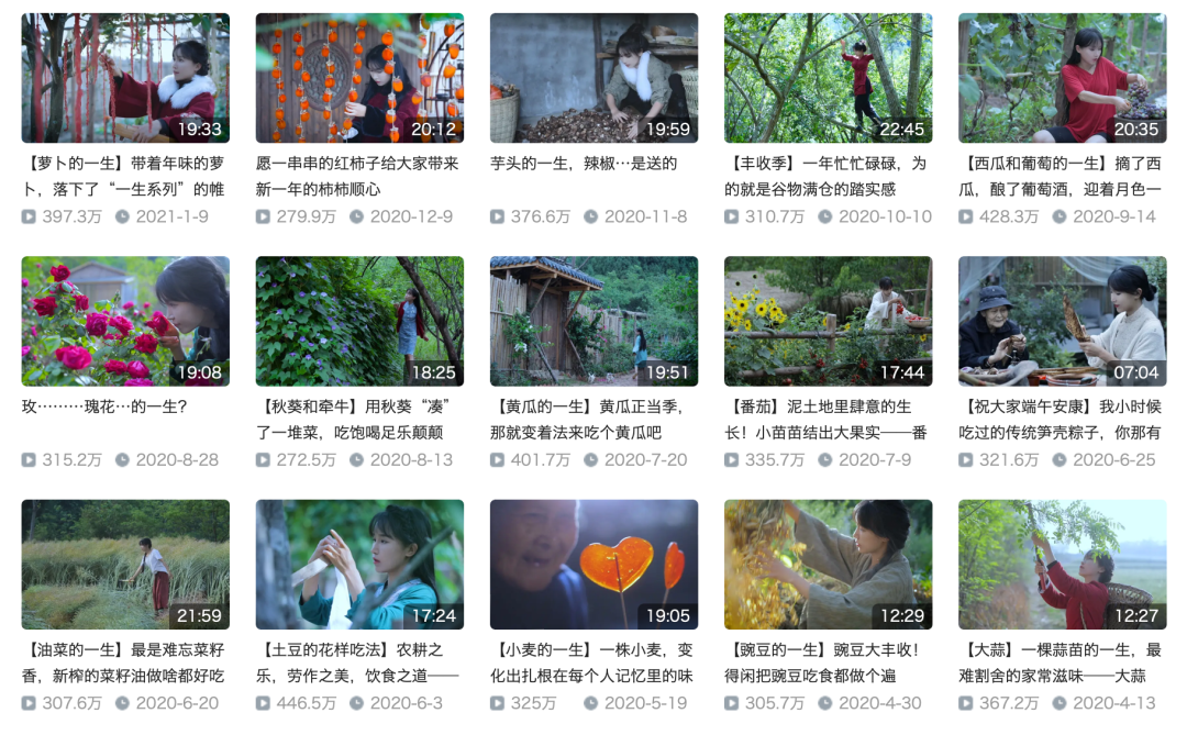 年收入5亿，消失800多天，李子柒露面，已今非昔比！