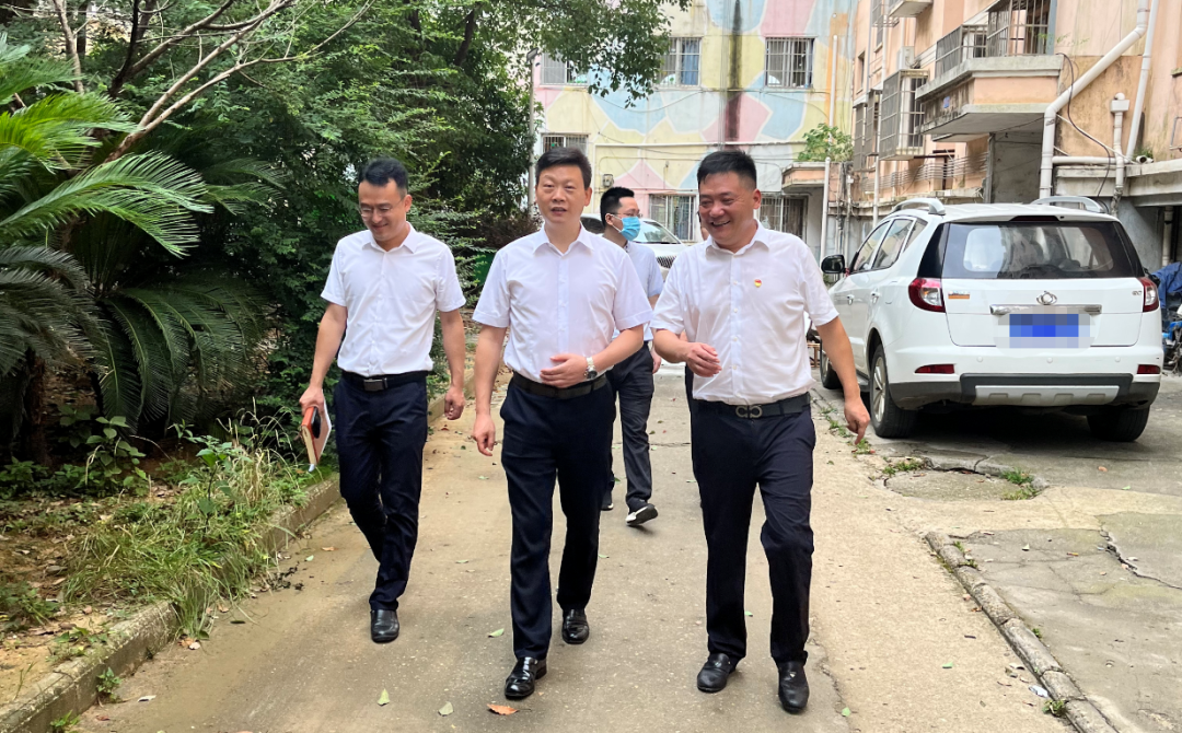 林峰深入青云谱镇督导文明创建工作