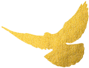 瑞安市农业技术学校通知公告五一 劳动节放假通知