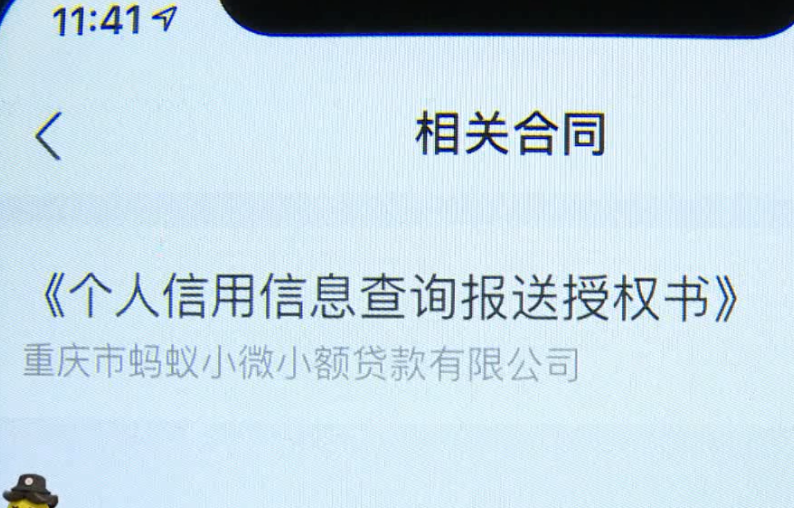 花呗什么意思