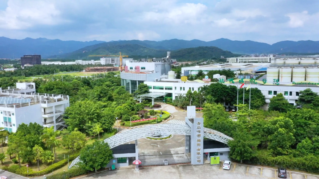 2月21日 (1)(2).png