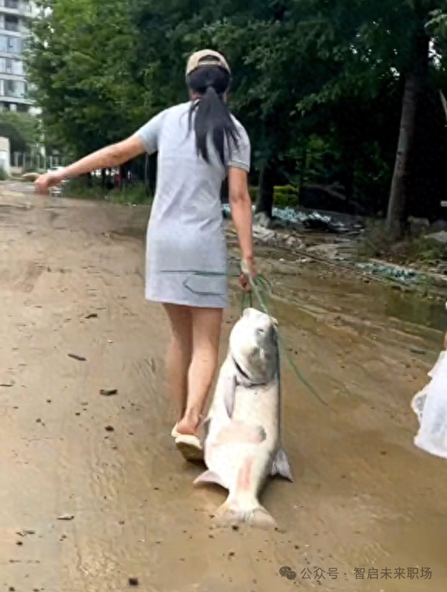 女子暴雨后发现40斤大鱼，专家警告：洪水中的食物可能不安全