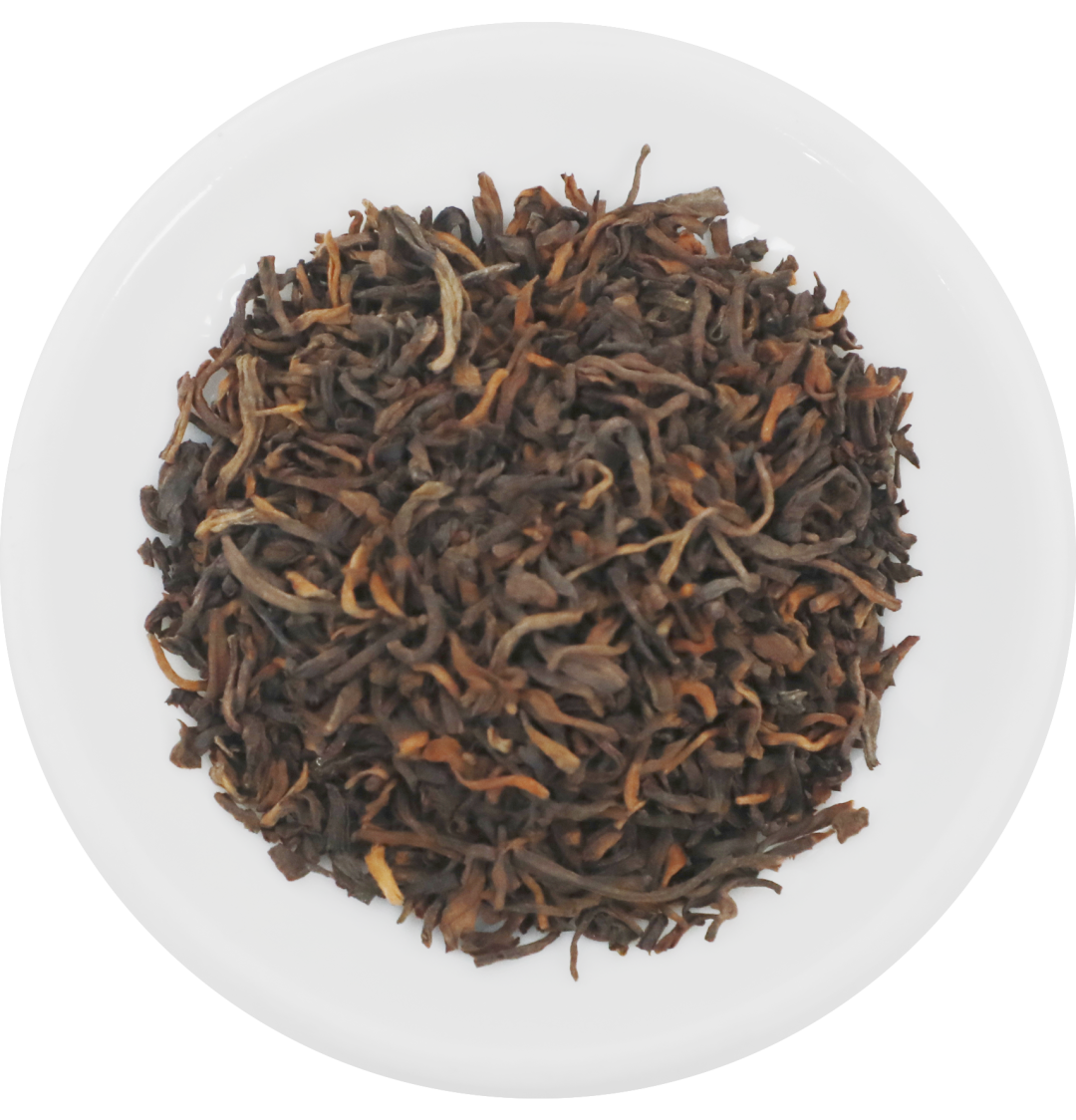 新品上市|中茶丹凤金毫普洱茶