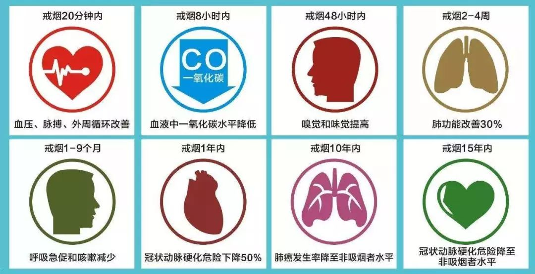 世界无烟日丨请听医生的话，爱护健康，远离烟草(图8)