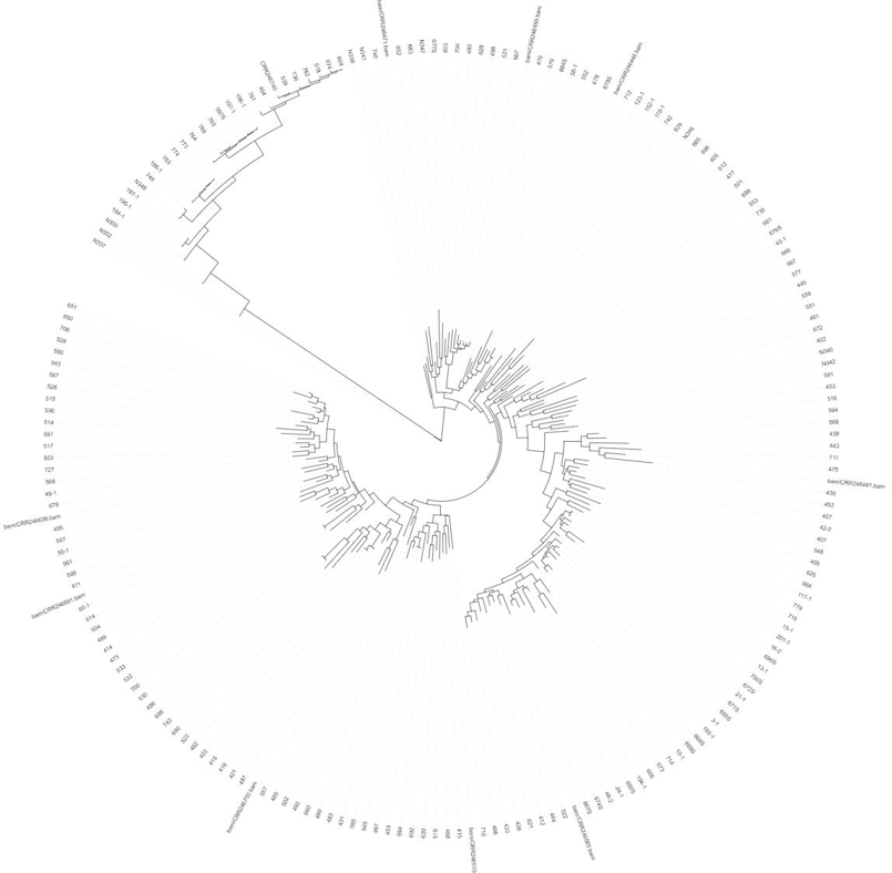 微信图片_2026-07-31_092937_422.png