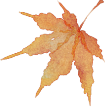 pga和pgla有什么区别穴位埋线，助您健康减肥，轻松”享瘦”_https://www.jmylbn.com_新闻资讯_第12张