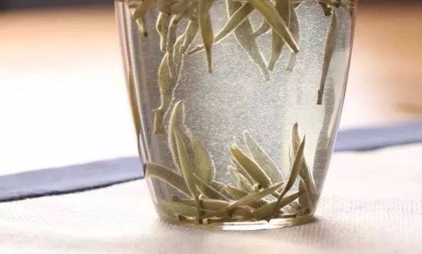 白茶为什么在六大茶类中是一个特殊存在