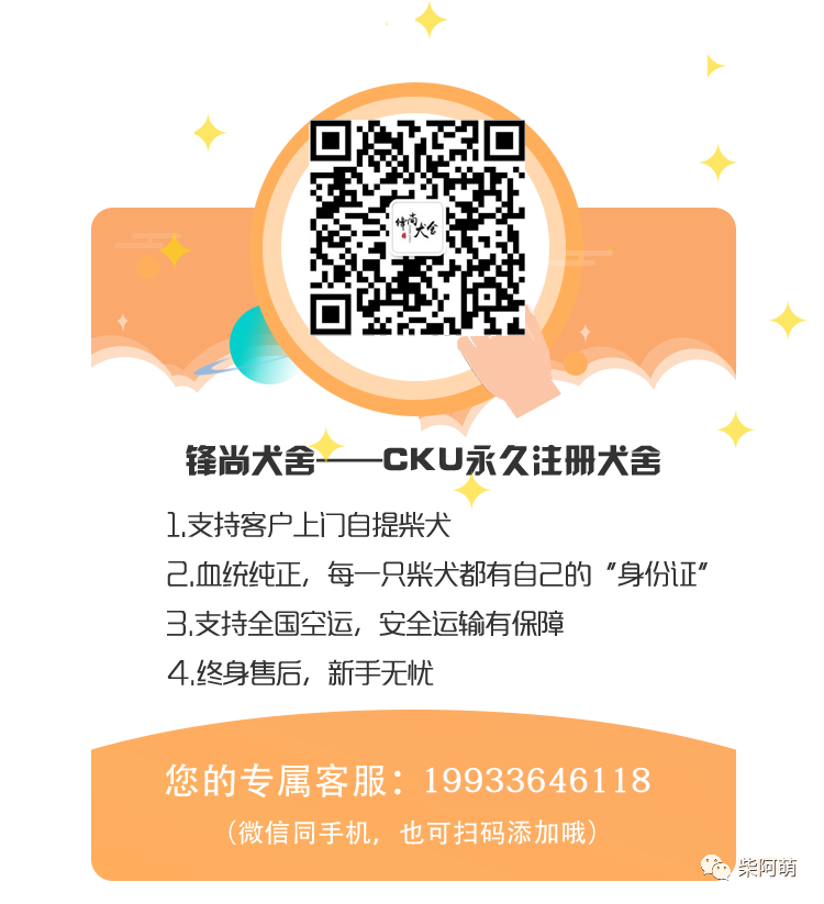 Tlc官网 微信小程序可以开直播了 一键授课零延时