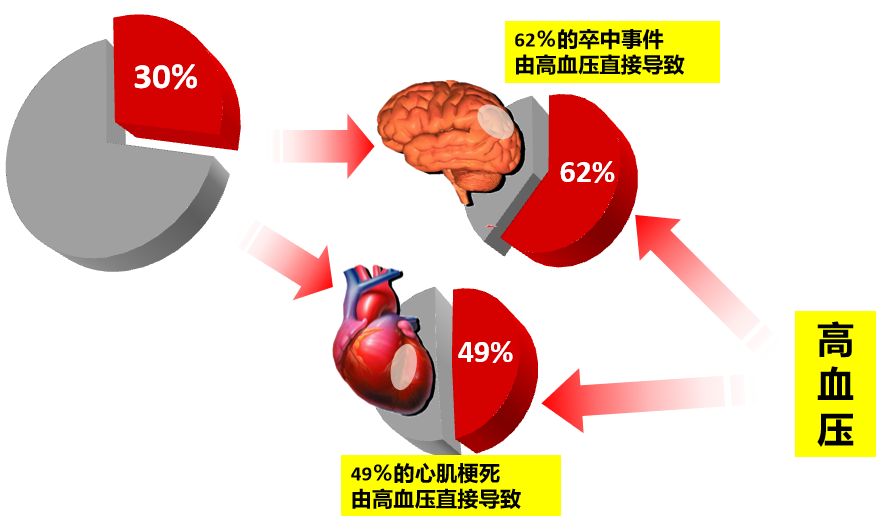 动态血压监测仪怎么看动态血压仪——小身材 大作用，精准监测 稳控血压_https://www.jmylbn.com_新闻资讯_第3张
