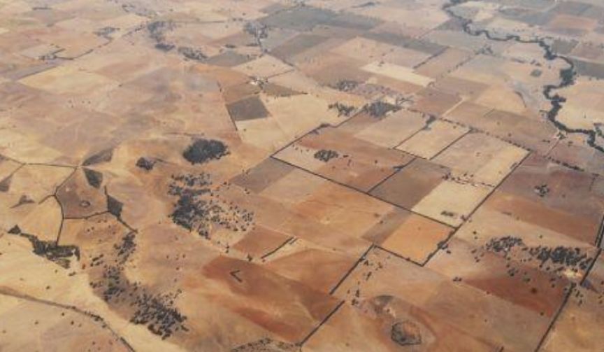 澳大利亚遇百年来最严重干旱，农畜牧相关行业影响较大