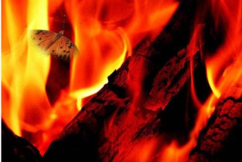 返利浪潮如伟哥盲目跟风FCoin小交易所在飞蛾扑火