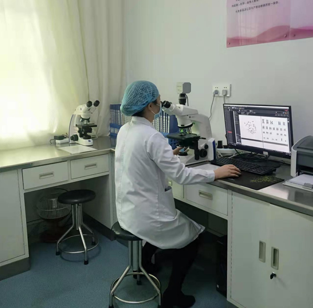 细胞分析检查什么细胞染色体核型分析检查真的重要吗？_https://www.jmylbn.com_新闻资讯_第4张