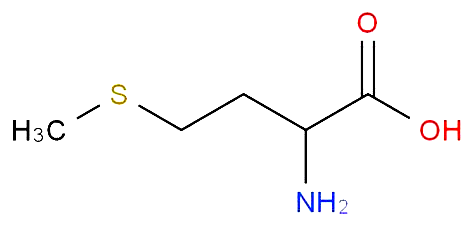同型半氨酸怎么化验产科医生为什么喜欢查血清同型半胱氨酸？_https://www.jmylbn.com_新闻资讯_第3张
