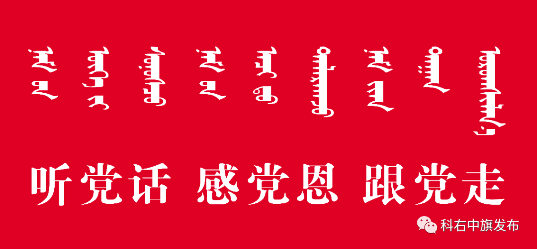 全国脱贫攻坚楷模白晶莹载誉而归 科右中旗发布 微信公众号文章阅读 Wemp
