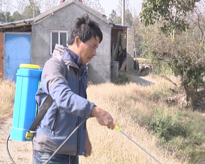 致富经养殖虾_致富经养虾_致富经淡水虾养殖视频