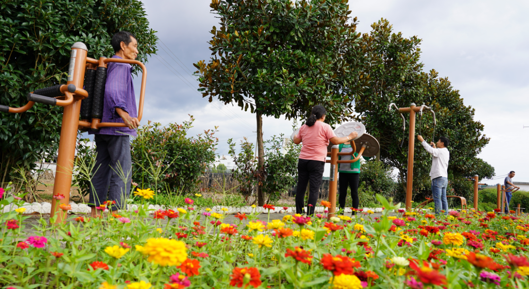 黄安镇一路鲜花一路景