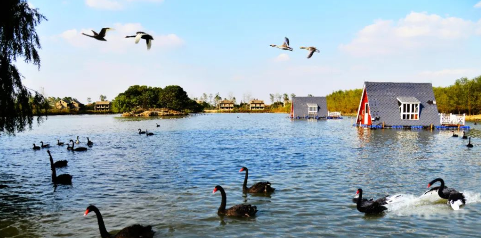 生存英文survive_生存英文單詞_生存的英文