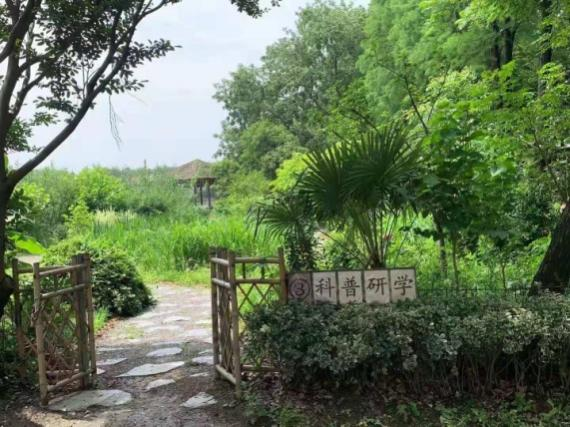 生存英文單詞_生存英文survive_生存的英文