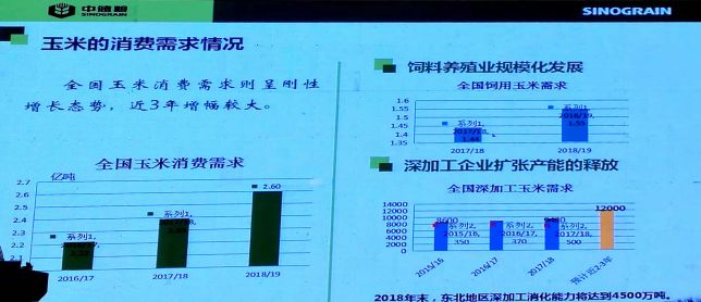 粮食物流专题：携手共进 合作共赢：打造中储粮物流公司玉米专业化服务平台