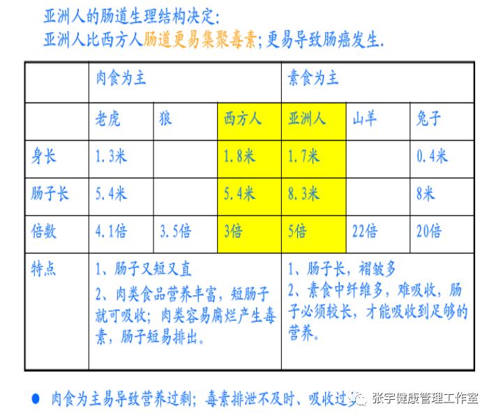 【儿童健康系列连载2】孩子不该吃这么多肉
