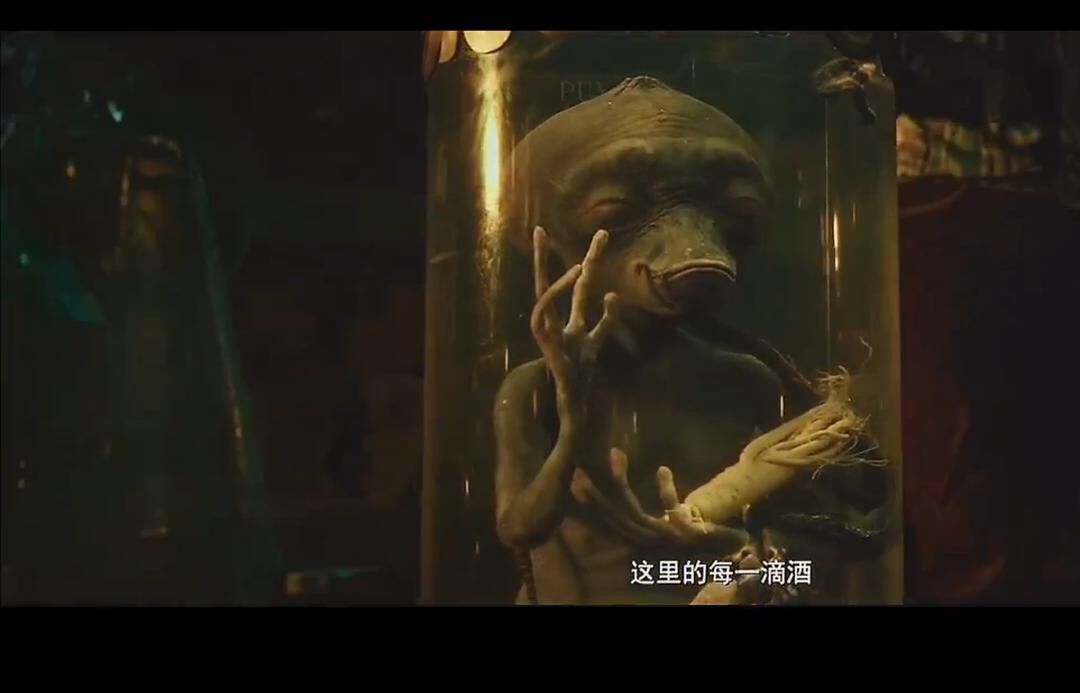 几千年来，中国都把什么泡进了酒？