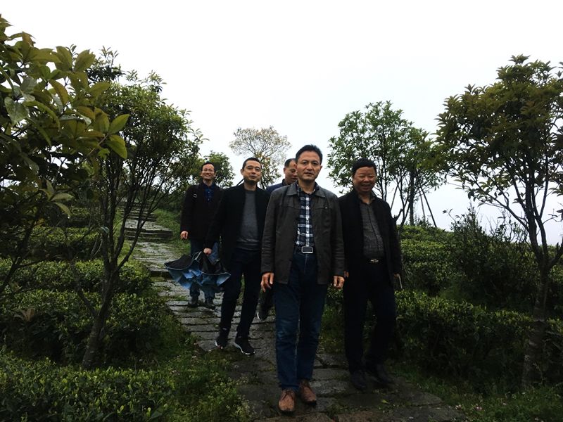 茶职院党委委员、副院长俞志兴一行看望关心实习工作的学生