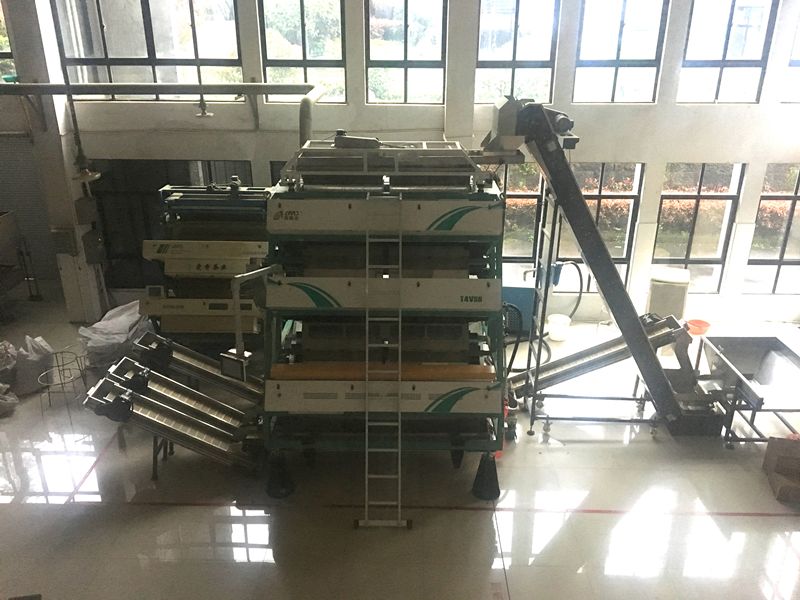 茶职院党委委员、副院长俞志兴一行看望关心实习工作的学生