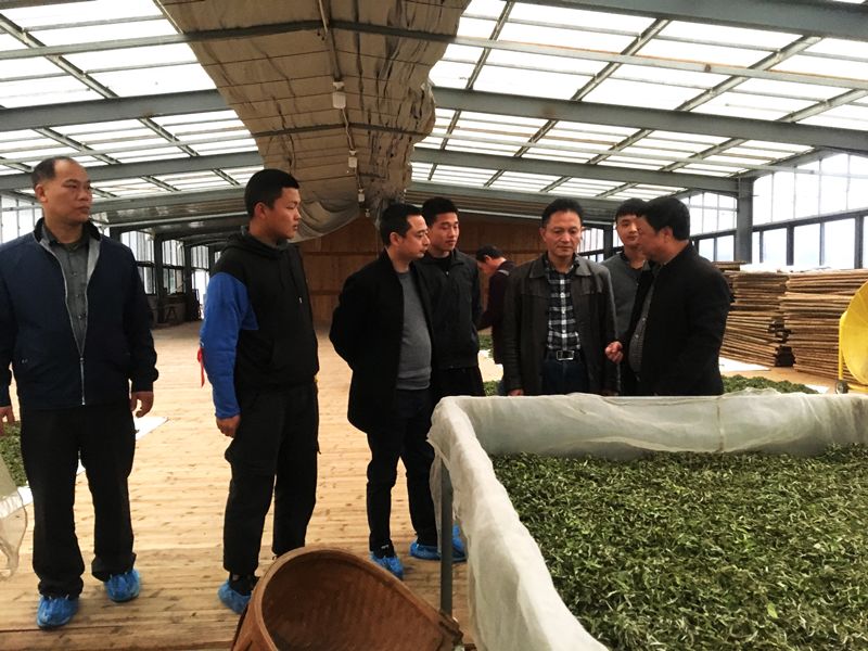 茶职院党委委员、副院长俞志兴一行看望关心实习工作的学生