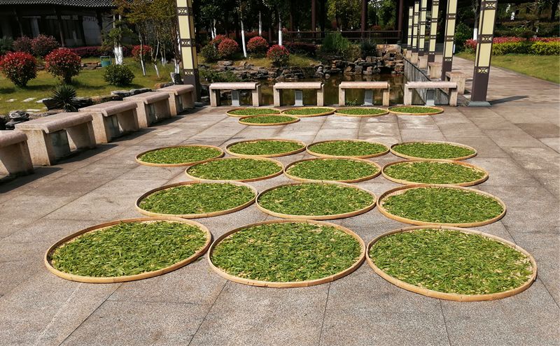 唱支红歌献给党 科教入户谱新篇