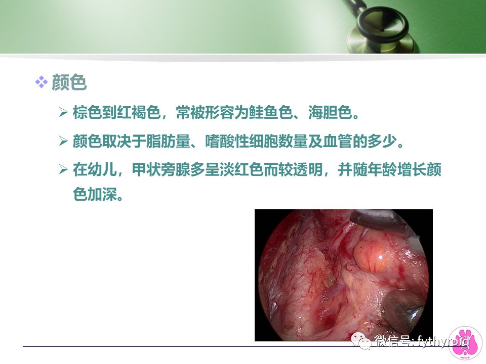 关于甲状旁腺的相关干货 附院甲状腺 微信公众号文章阅读 Wemp