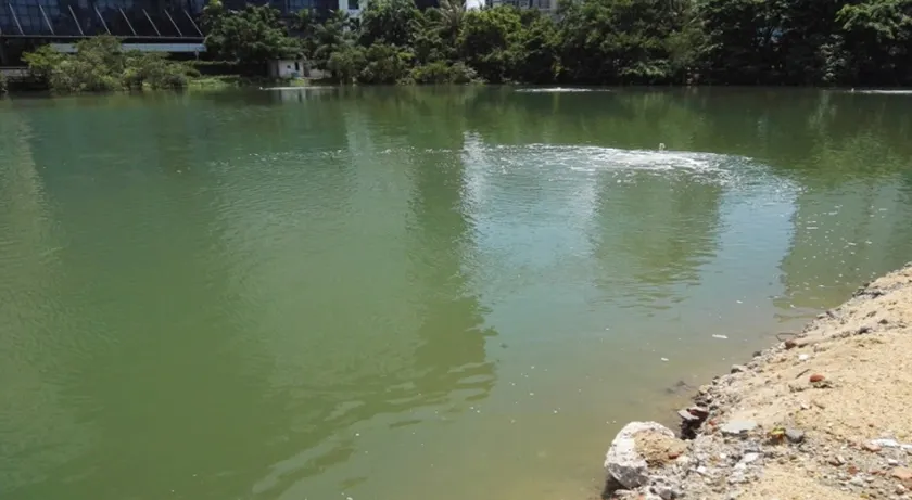 黑臭水体要“脱胎换骨”，“绣花功夫”少不了