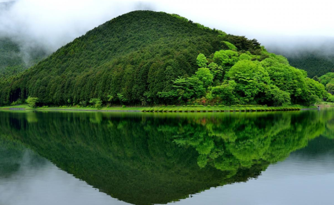 关注水环境，保护水资源，修复水生态