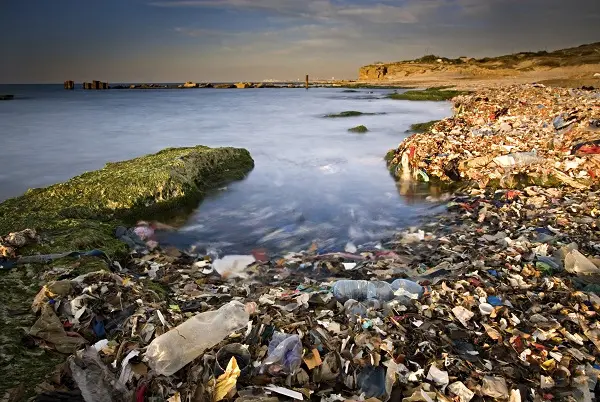 微塑料悄然入侵，污染防治“直切要害”！