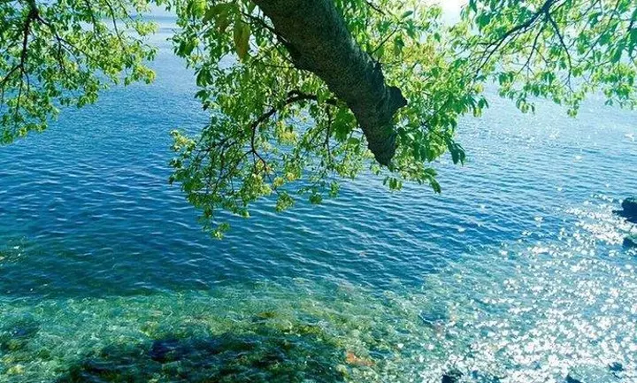 对于水和废水行业， 雷达物位计是更好的选择