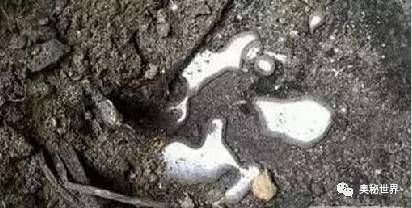 「」沉睡千年：揭秦始皇陵的十大惊天谜团