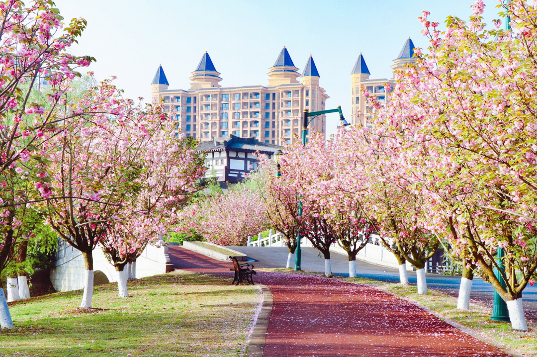 超1393万人次！这座千年古城、丝路新港藏着怎样的文旅新密码？插图7
