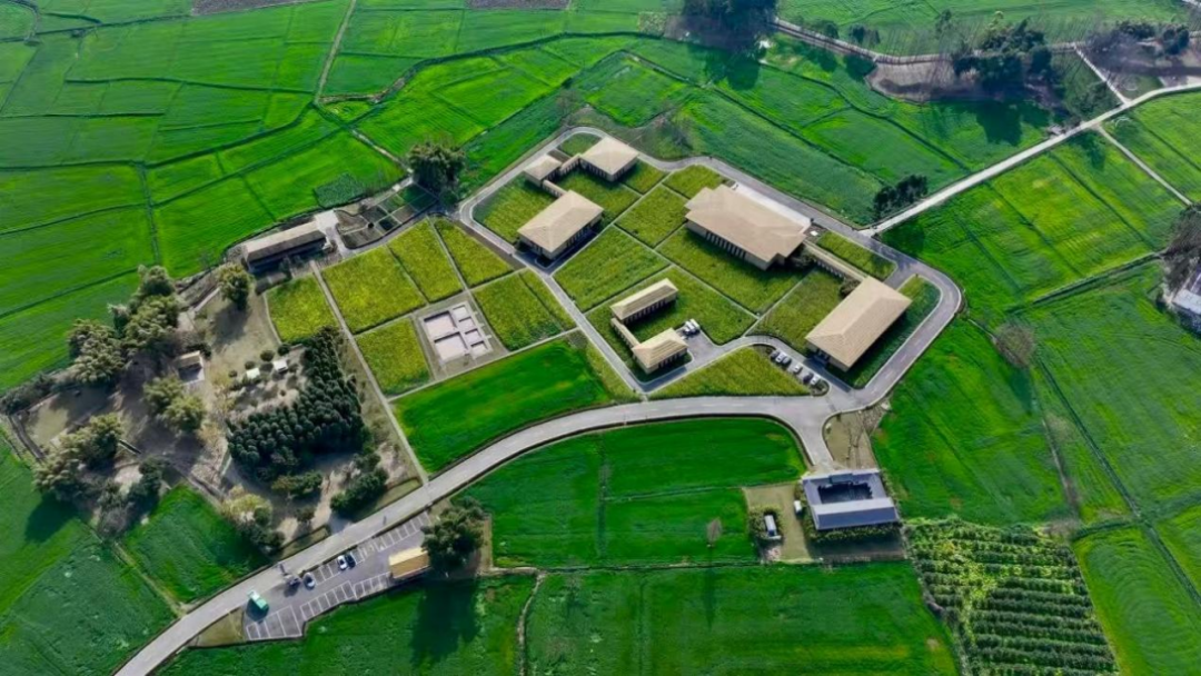 成都的“津”彩生活竟然是这样？！插图4