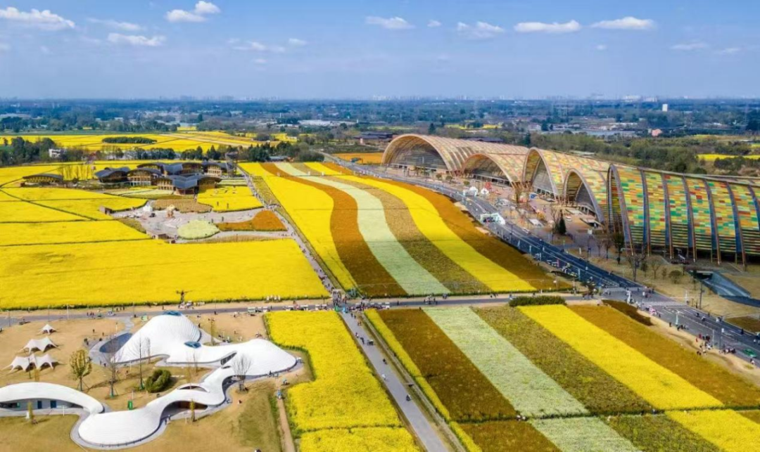 成都的“津”彩生活竟然是这样？！插图17