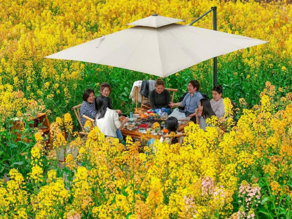 成都的“津”彩生活竟然是这样？！插图1