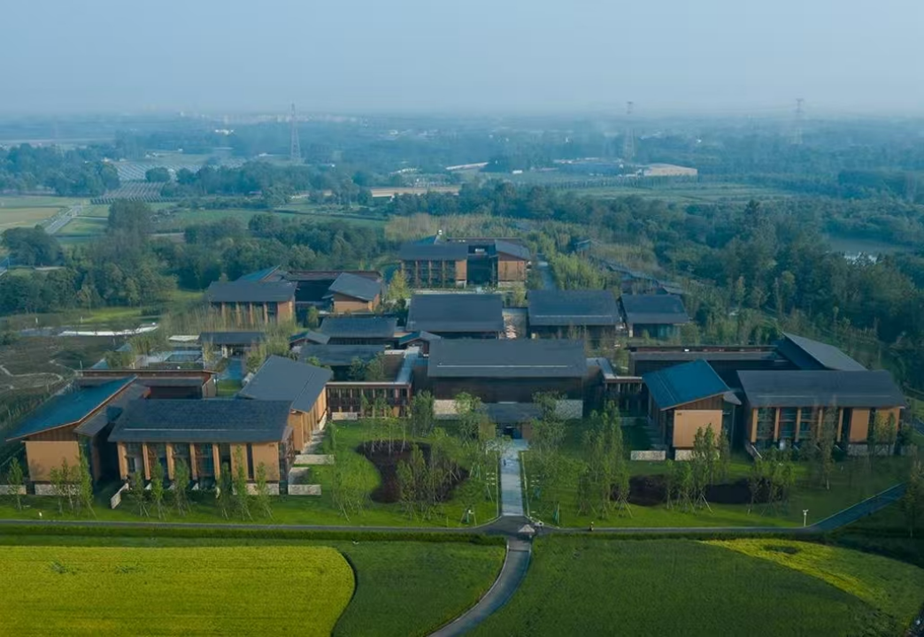 成都的“津”彩生活竟然是这样？！插图15