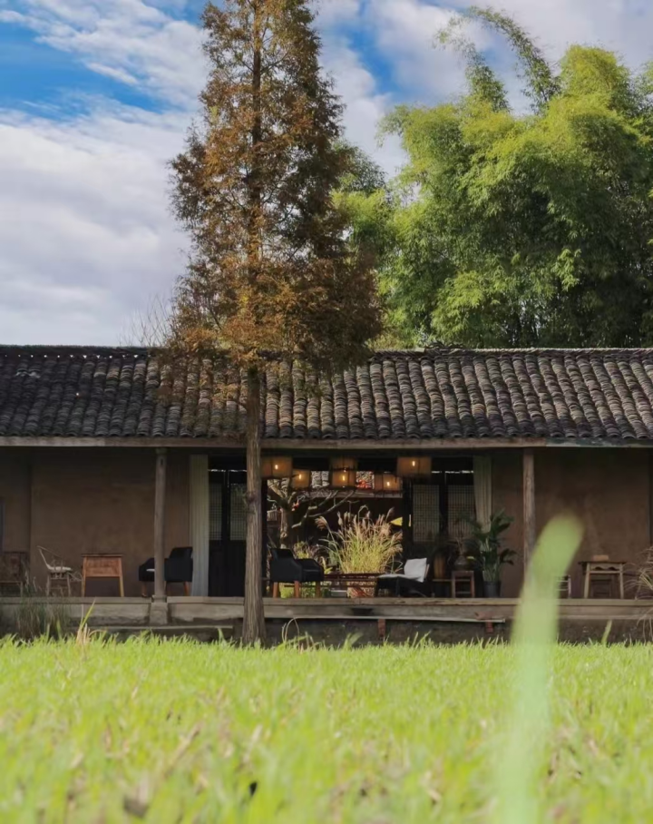 成都的“津”彩生活竟然是这样？！插图6