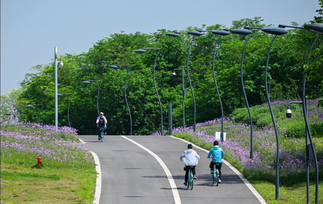 @“段子手”“野生摄影党”、短视频博主们，你们的机会来了！插图3